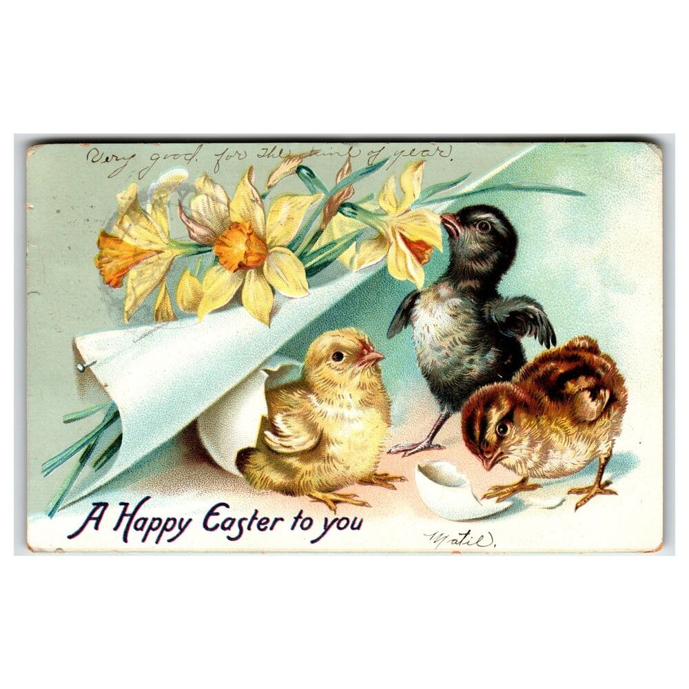 Raphael Tuck Easter Postcard Chicks Daffodils Matil. Art Printed in Saxony 1907